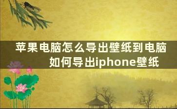 苹果电脑怎么导出壁纸到电脑 如何导出iphone壁纸